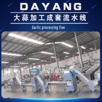 全自動(dòng)大蒜流水線 蒜米加工成套設(shè)備 全自動(dòng)大蒜流水線