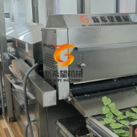 桑葉上漿機(jī)翠葉上漿油炸流水線