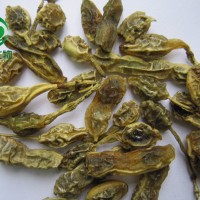 槐米提取物 95%蘆丁