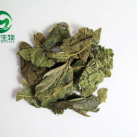 荷葉提取物