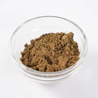 松子提取物