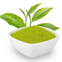 綠茶提取物供應