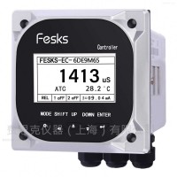 英國費(fèi)思克 電導(dǎo)率/TDS/鹽度分析儀 FSEC 3600