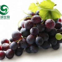 葡萄提取物白藜蘆醇