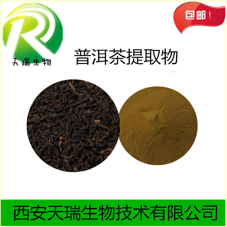 普洱茶_副本